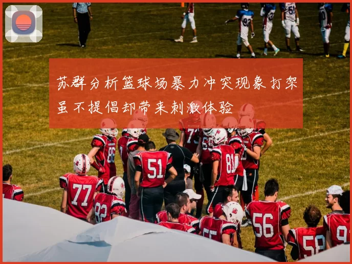 苏群分析篮球场暴力冲突现象打架虽不提倡却带来刺激体验